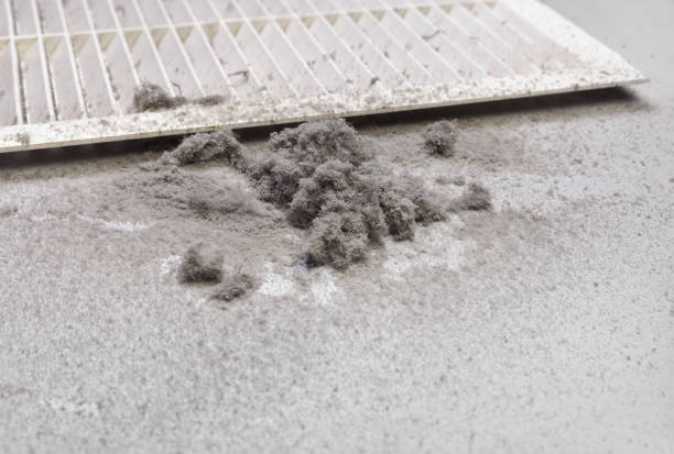 Best Commercial Air Duct Cleaning  in Hillview, KY
